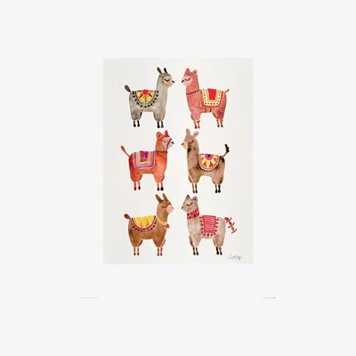 Knees Alpacas 60 x 80cm Framed Wall Art