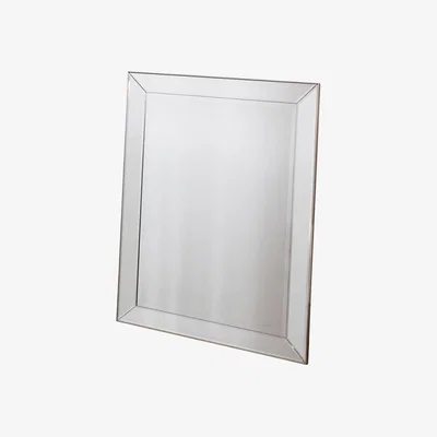Knees Olive Large Rectangle Wall Mirror - Champagne