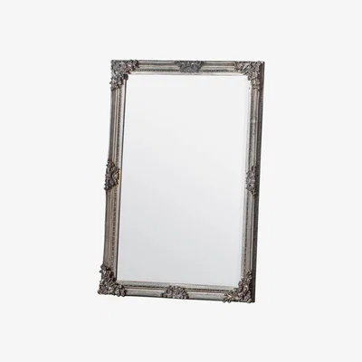 Knees Halewood Large Rectangle Wall Mirror - Champagne