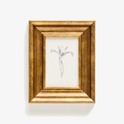 Kave Home Yalira picture with botanical illustration 33 x 41 cm