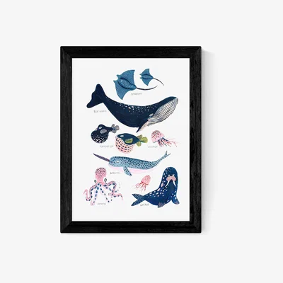La Redoute A3 Framed Sea Creatures Print