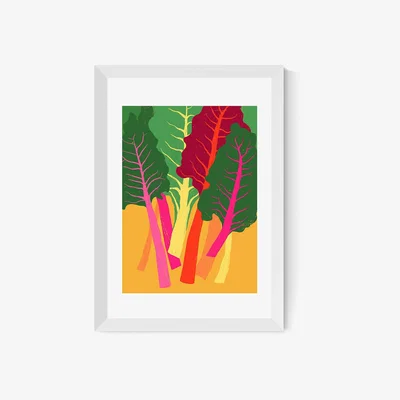 La Redoute A2 Framed Rainbow Chard Print