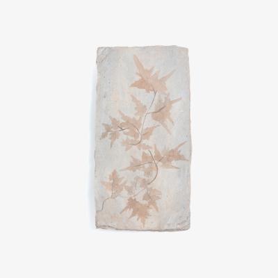 La Redoute Fossilis Polyresin Wall Art, H50.5cm