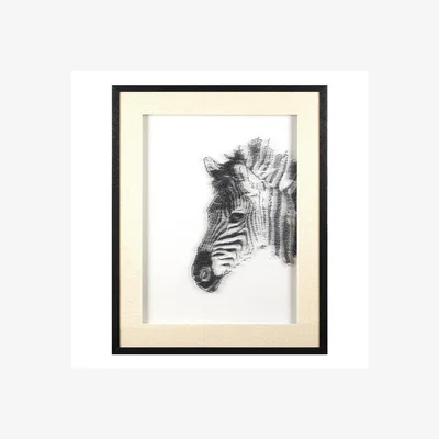La Redoute Contemporary Monochrome Zebra Sculpture Framed Wall Art