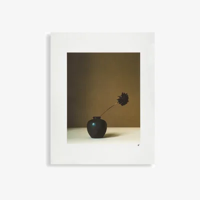 La Redoute Dahila Art Poster
