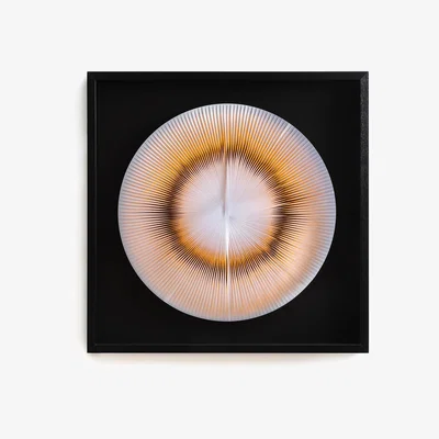 La Redoute Vinci Wall Decoration Under Glass