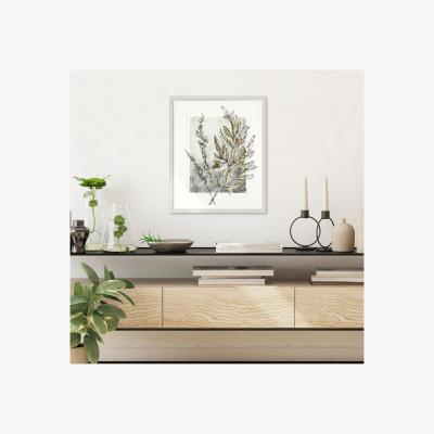 La Redoute 47x57cm Evergreen Fern Framed Print