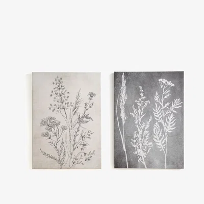 La Redoute Set of 2 Flera Printed Canvasses