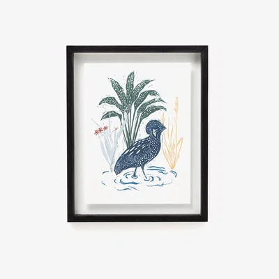 La Redoute Huba Framed Bird Poster