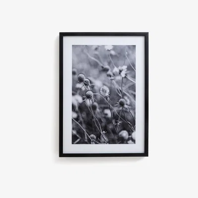 La Redoute Romantica Framed Poster Print