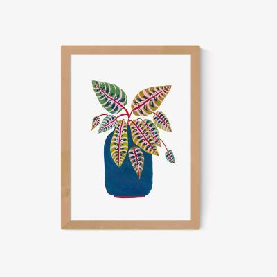 La Redoute A2 Framed Prayer Plant Print