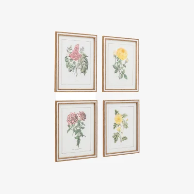 Marks & Spencer Gallery Home Set of 4 Floral Framed Art Green Mix