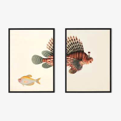 Made.com Natural History Museum Vintage Fish Set of 2 Framed Prints, A3