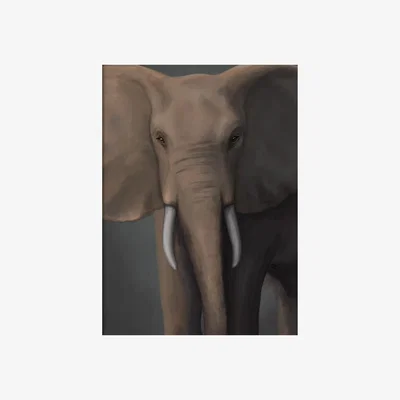 Nordic Nest Kunskapstavlan® Forest elephant poster 50x70 cm