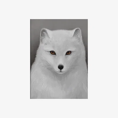 Nordic Nest Kunskapstavlan® Arctic fox poster 50x70 cm