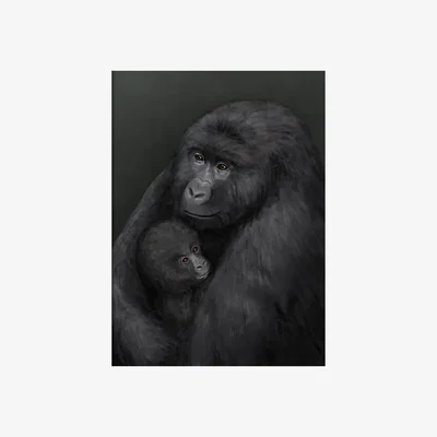Nordic Nest Kunskapstavlan® Mountain gorilla poster 50x70 cm