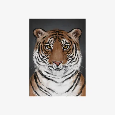 Nordic Nest Kunskapstavlan® Tiger poster 30x40 cm