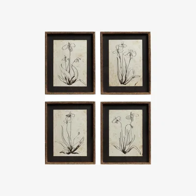 OKA OKA, Set of Four Framed Narin Prints - Multi, Wall Art, Firwood