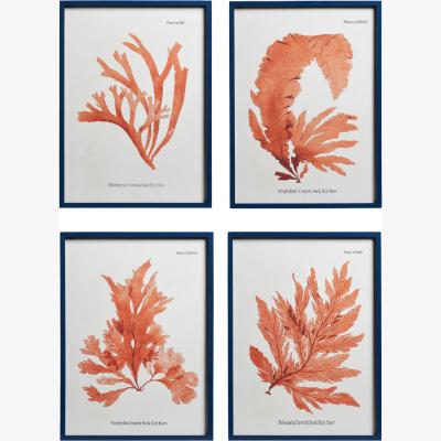 OKA OKA, Set of Four Seaweed Prints - White/Orange, Wall Prints, Wood, Botanical