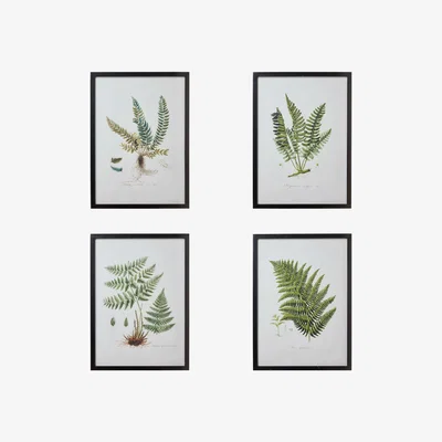 OKA Set of Four Fern Framed Prints - Black