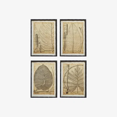 OKA OKA, Set of Four Basilius Framed Leaf Prints - Natural, Wall Prints