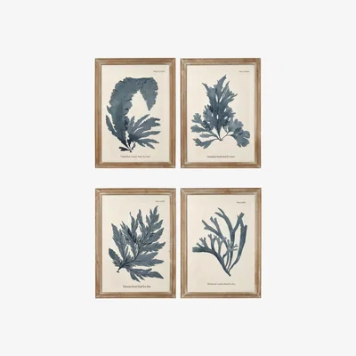 OKA OKA, Set of Four Seaweed Framed Prints - Blue, Wall Prints, Glass/Wood