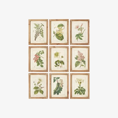 OKA Set of Nine Summer Garden Framed Prints- Brown