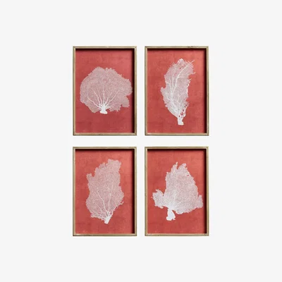 OKA OKA, Set of Four Skeleton Coral Prints - Red/White, Wall Prints, Wood, Botanical