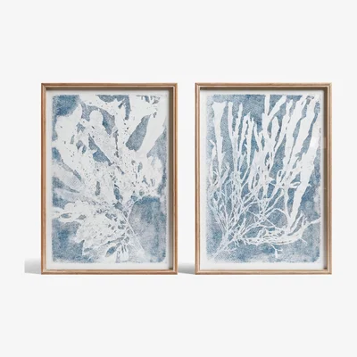 OKA OKA, Set of Two Seaweed Prints - Blue/White, Wall Prints, Firwood/Glass/Paper