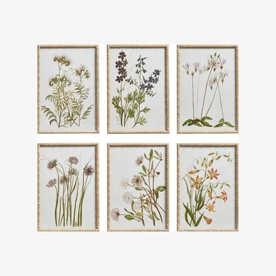 OKA OKA, Set of Six Floral Prints - Multi, Wall Prints, Firwood/Glass/Paper, Floral