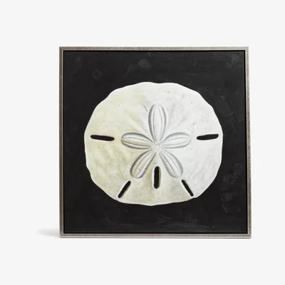 OKA OKA, Calliope Sand Dollar Oil Painting - Off-White/Black, Wall Paintings, Polyurethane, Plain