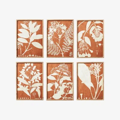 OKA OKA, Set of Six Flora Photogram Framed Prints - Orange, Wall Prints, Glass/Wood