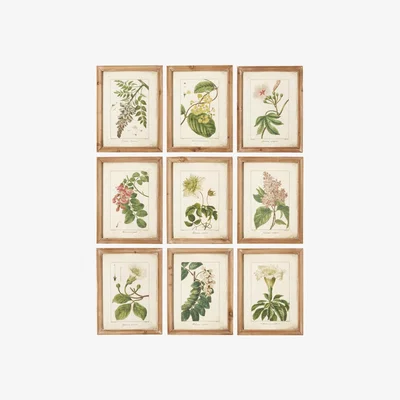 OKA OKA, Set of Nine Summer Garden Framed Prints - Brown, Wall Prints, Glass/Wood
