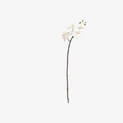 OKA Faux Phalaenopsis Orchid Stem - White