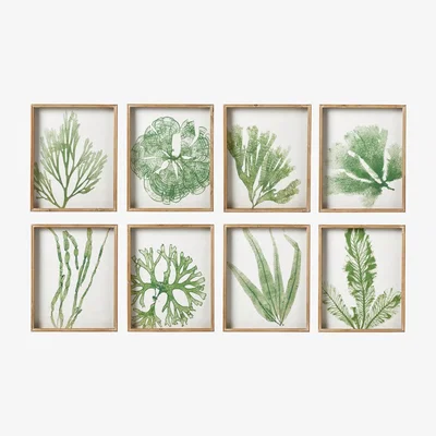 OKA Coral and Seaweed Prints Set of Eight - Green