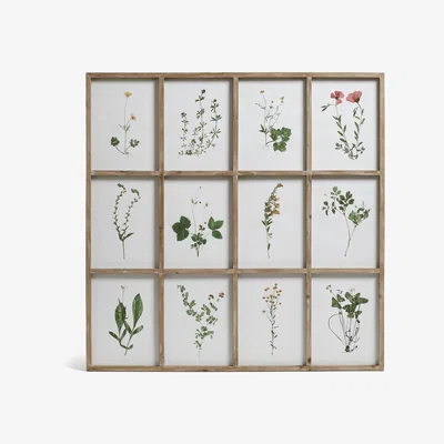 OKA OKA, Set of Twelve Framed Pressed Flower Prints - Natural, Wall Prints, Glass/MDF Wood/Paper, Floral