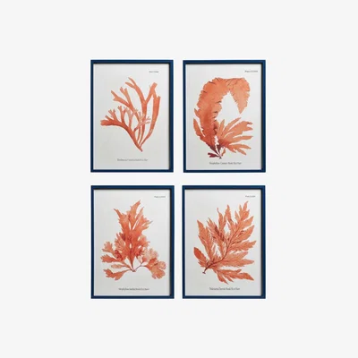 OKA Set of Four Seaweed Prints - White/Orange