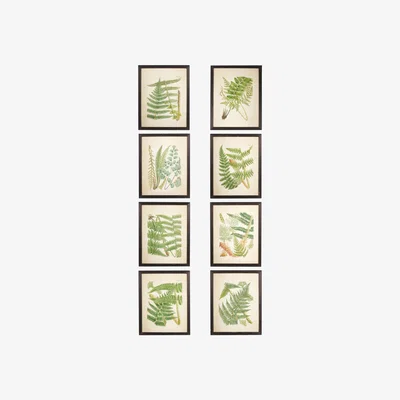 OKA Set of Eight Framed Fern Prints - Black