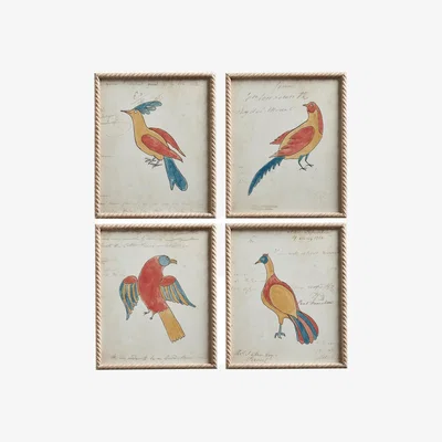 OKA OKA, Set of Four Framed Carara Bird Prints - Multi, Wall Art, Firwood