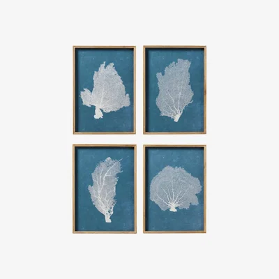 OKA OKA, Set of Four Skeleton Coral Prints - Blue/White, Wall Prints, Glass/Wood