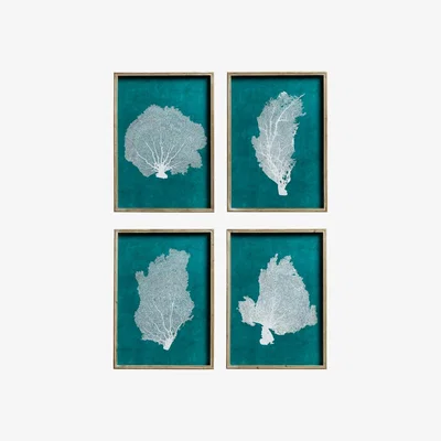 OKA OKA, Set of Four Skeleton Coral Prints - Green/White, Wall Prints, Wood, Botanical