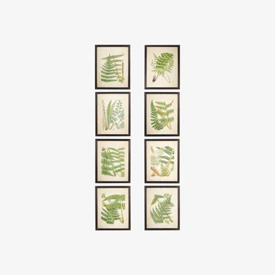 OKA OKA, Set of Eight Framed Fern Prints - Black, Wall Prints, Glass/Wood