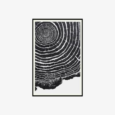Olivia's Liang & Eimil Rv I Wall Art Black