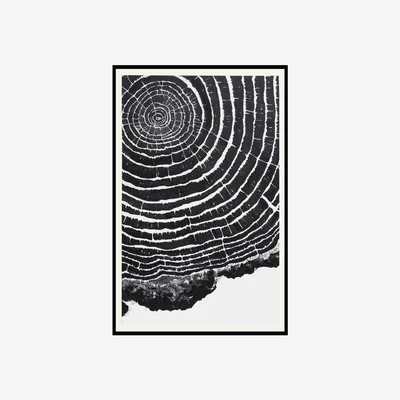Olivia's Liang & Eimil Rv I Wall Art Black