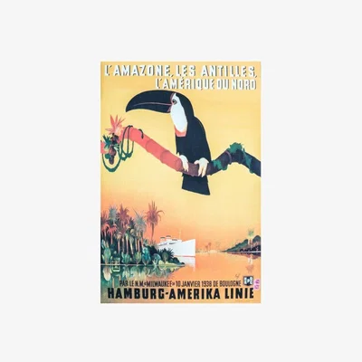 Olivia's Gallery Direct Quirky Toucan Unframed Canvas