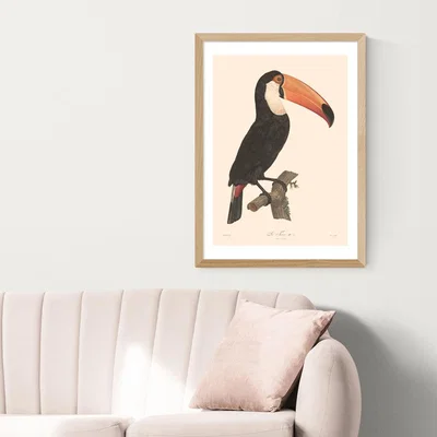 Olivia's Toucan by Aster - A2 Oak Framed Art Print