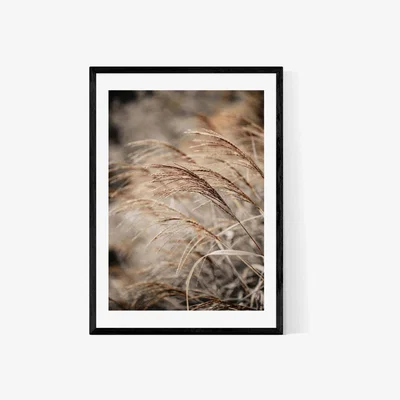 Olivia's Grass XX by Mareike Boehmer - A1 Black Framed Art Print