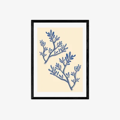 Olivia's Seaweed Study by Sifa Mustafa - A3 Black Framed Art Print