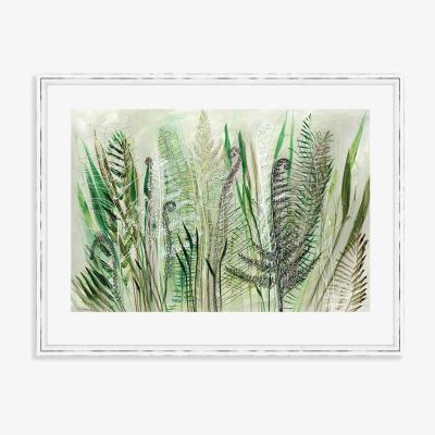 Olivia's The Art Group Shyama Ruffell Ferns Ii Framed Art - 60x80cm