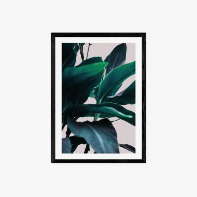 Olivia's Leaves IV by Mareike Boehmer - A3 Black Framed Art Print